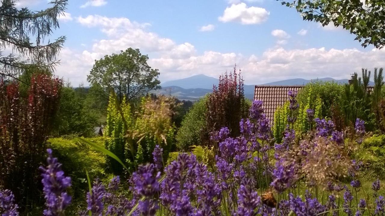 Villa Gorczanska Rabka Buitenkant foto